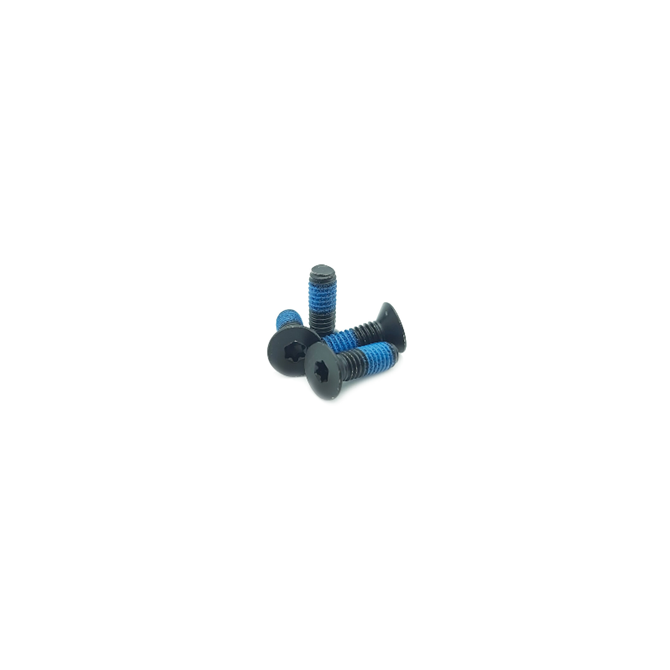 Holosun Screws for Magnifier HM3X, (M4x12), 2 pcs.