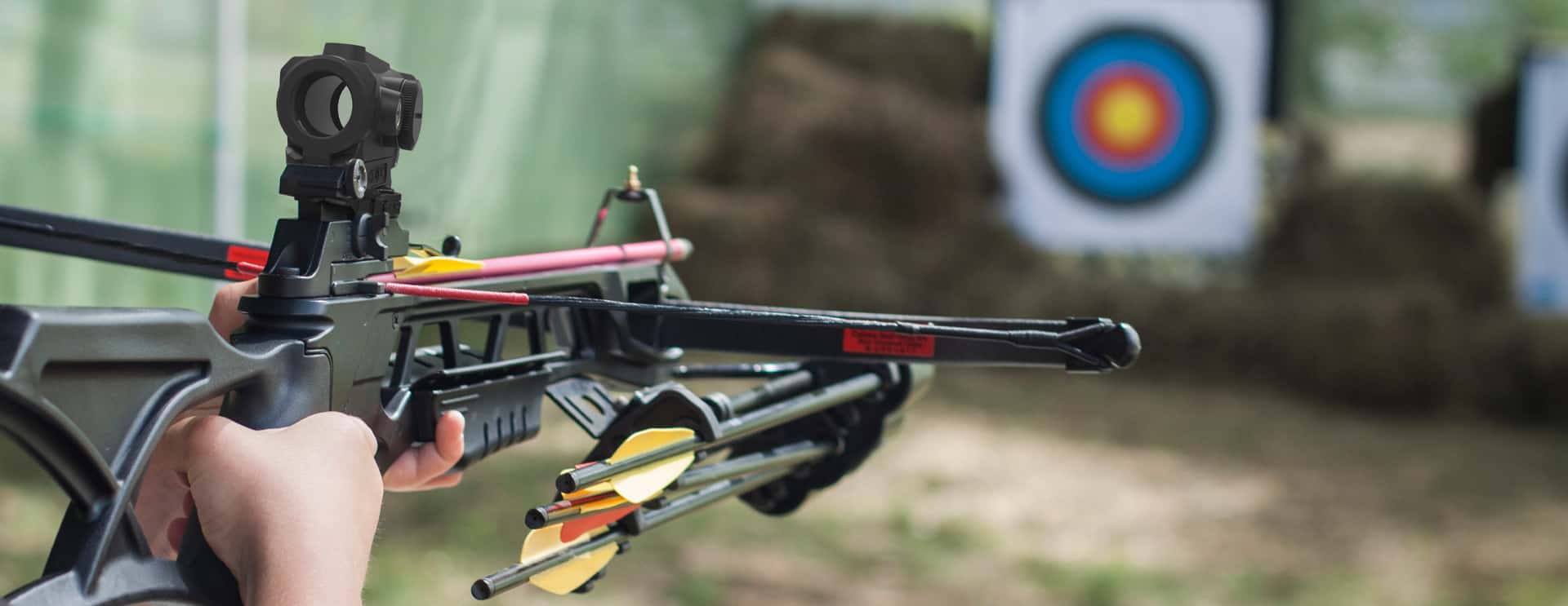 Holosun category crossbow